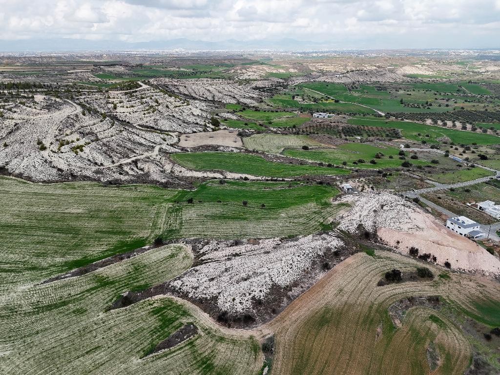 Field - Analiontas, Nicosia