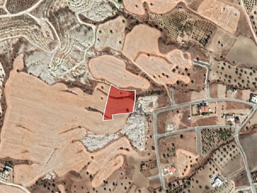 Field - Analiontas, Nicosia