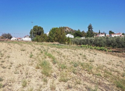 Pera Chorio, Nicosia Residential Field For Sale | WW27718