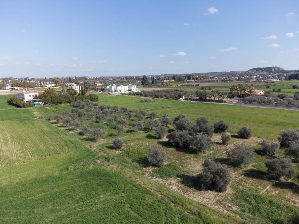 Field - Ergates, Nicosia