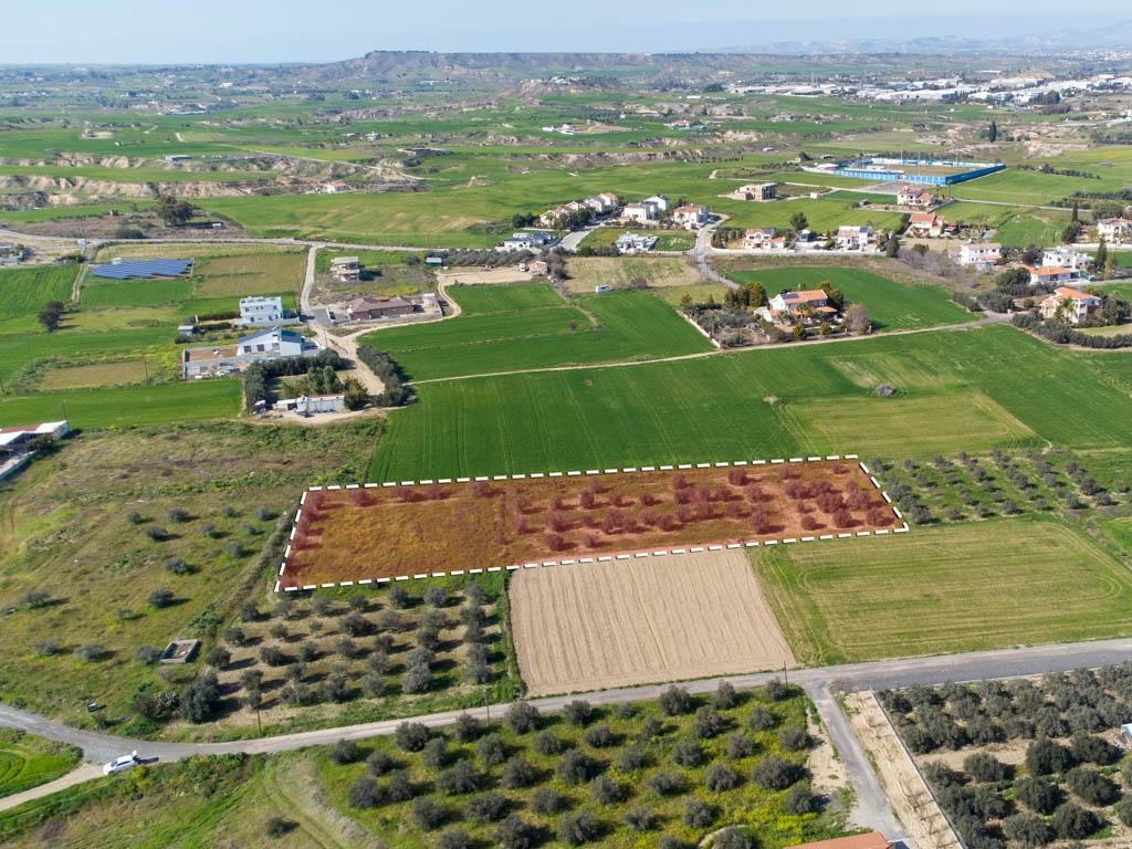 Field - Ergates, Nicosia