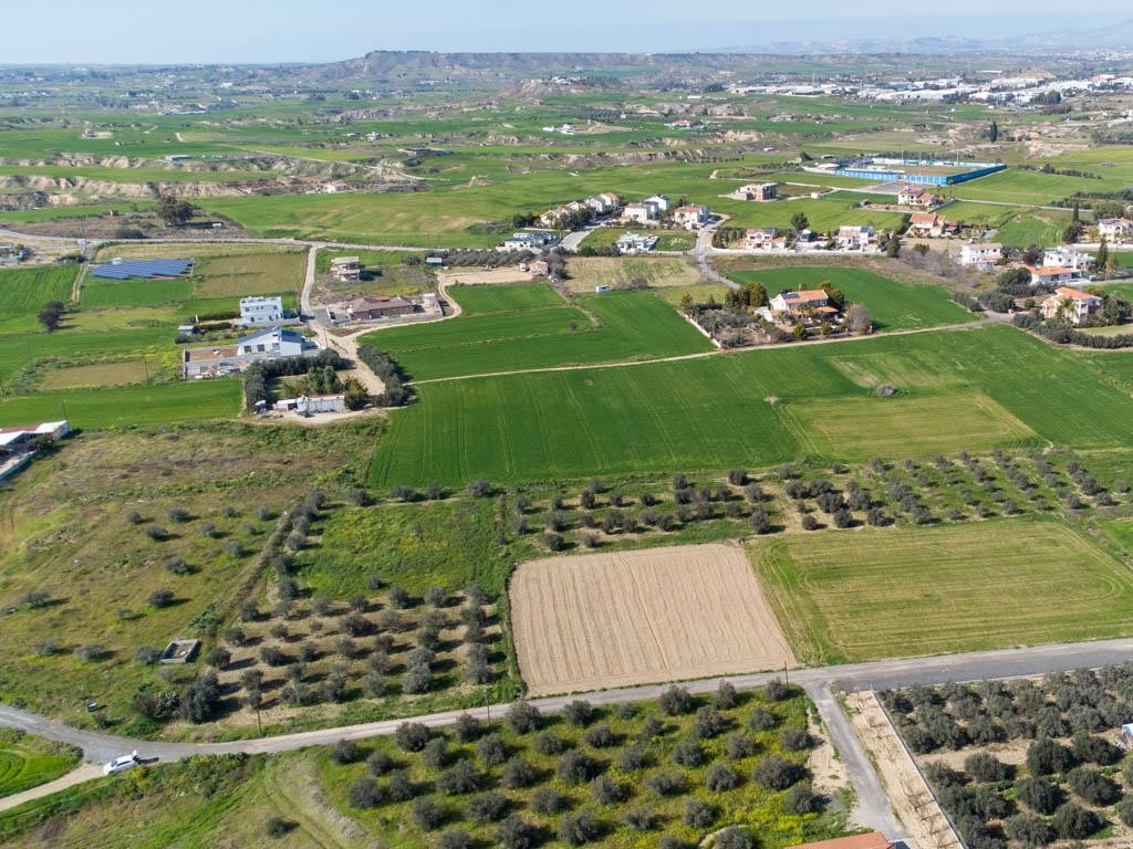 Field - Ergates, Nicosia