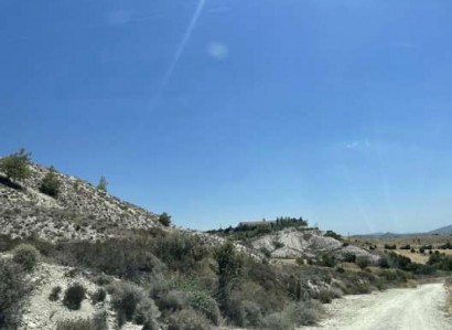 Pera Chorio, Nicosia Agricultural Field For Sale | WW27728