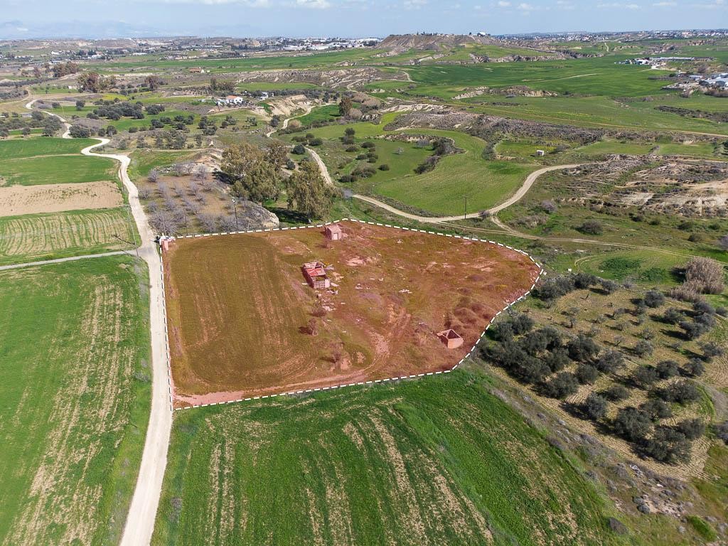 Field - Arediou, Nicosia
