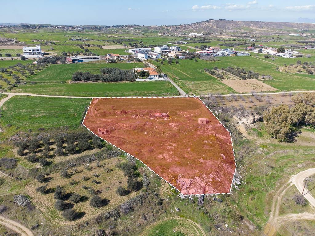 Field - Arediou, Nicosia