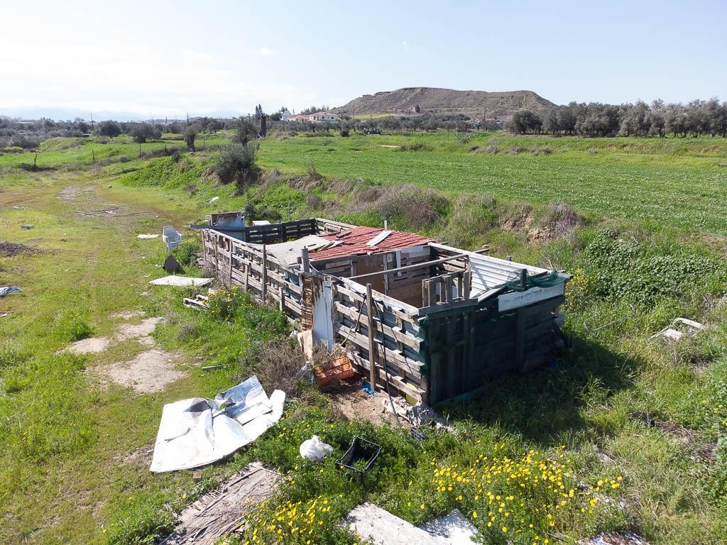 Field - Arediou, Nicosia
