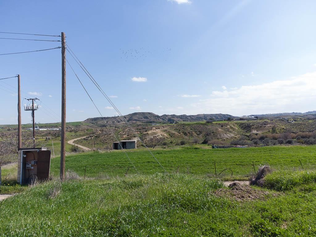 Field - Arediou, Nicosia