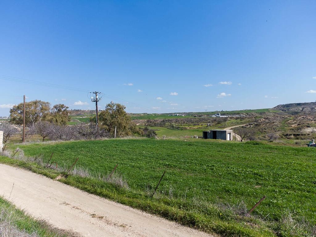 Field - Arediou, Nicosia