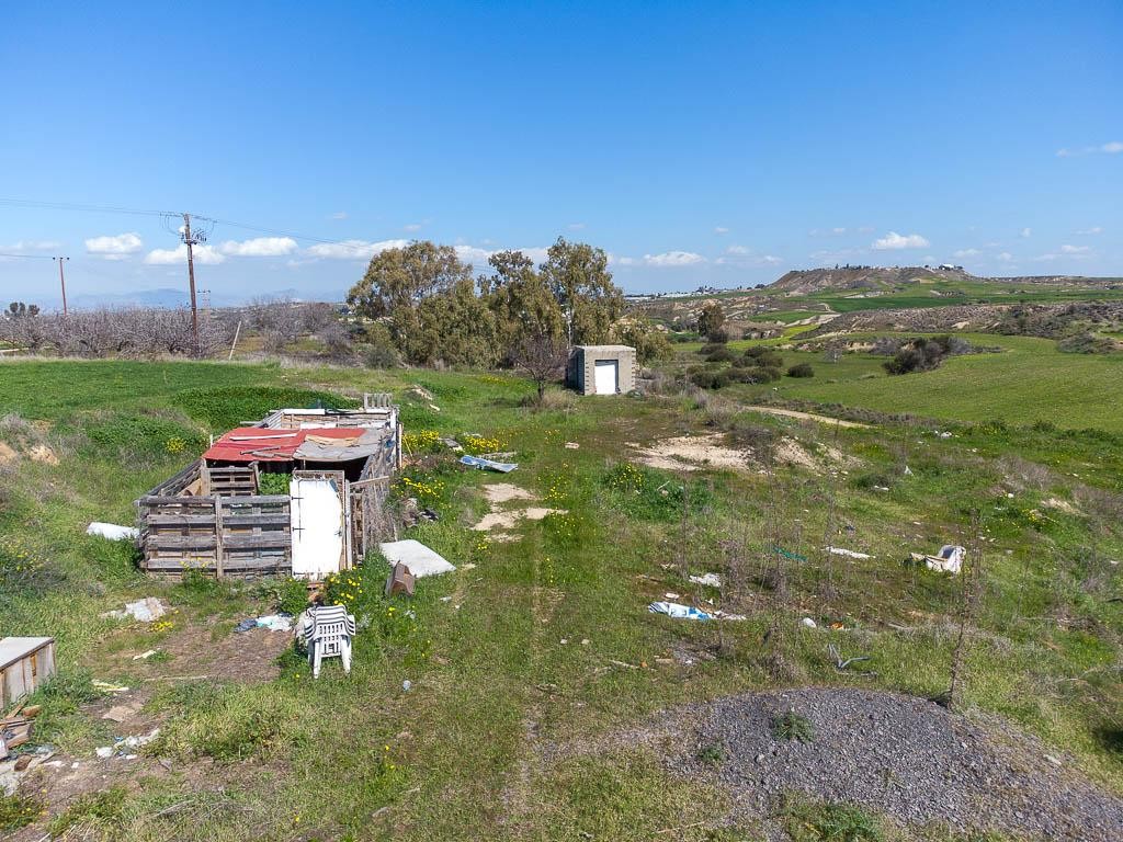 Field - Arediou, Nicosia