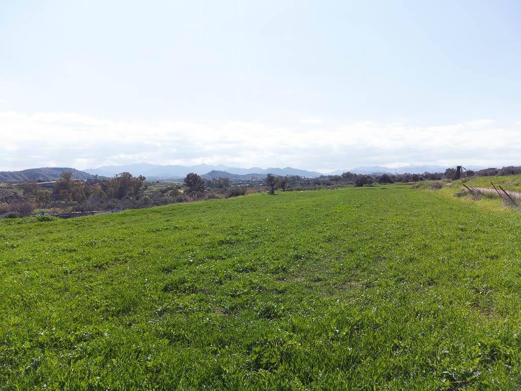 Field - Arediou, Nicosia