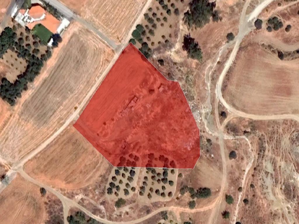 Field - Arediou, Nicosia