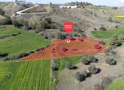 Klirou, Nicosia Agricultural Field For Sale | WW27761