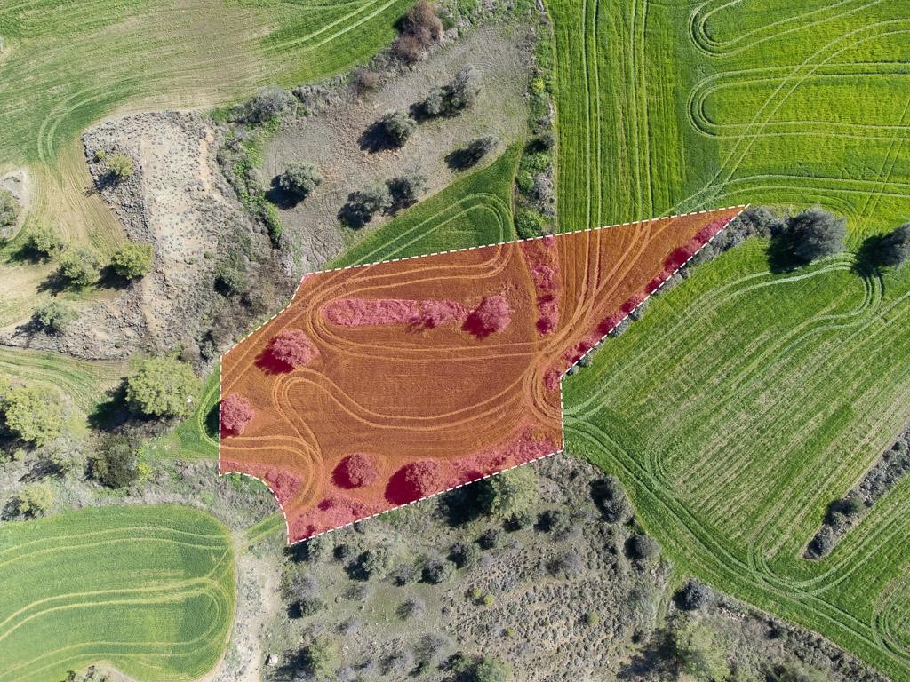 Field - Klirou, Nicosia