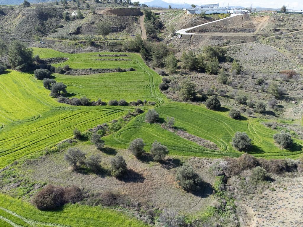 Field - Klirou, Nicosia