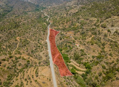 Kalo Chorio, Limassol Agricultural Field For Sale | WW27771