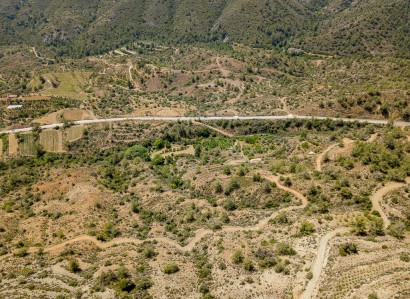 Kalo Chorio, Limassol Agricultural Field For Sale | WW27771