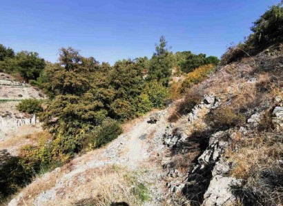 Kato Mylos, Limassol Residential Field For Sale | WW27773