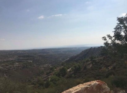 Kivides, Limassol Agricultural Field For Sale | WW27776