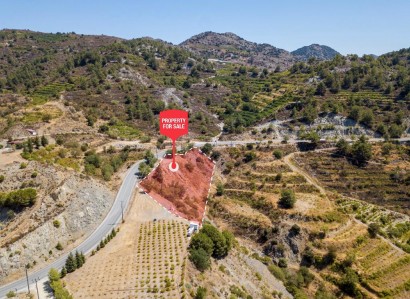 Agros, Limassol Industrial Field For Sale | WW27783