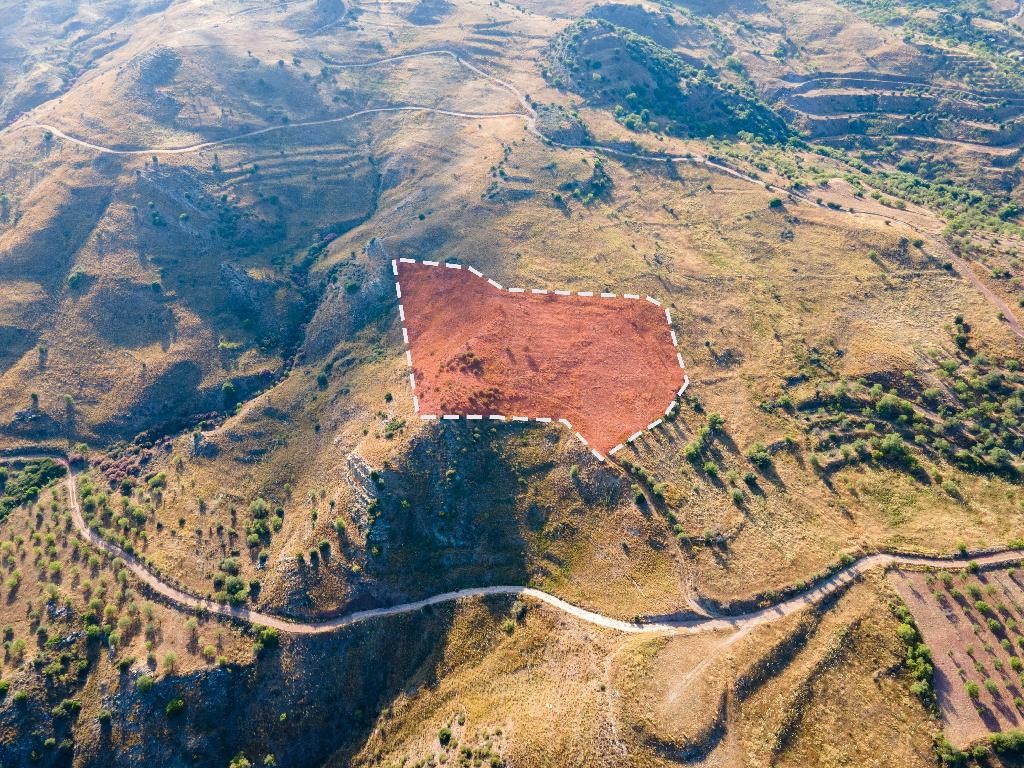 Field - Episkopi, Paphos