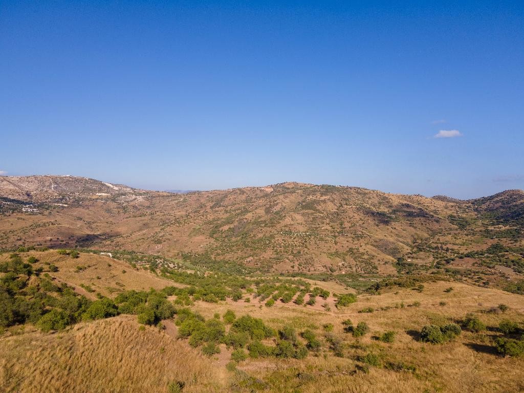Field - Episkopi, Paphos