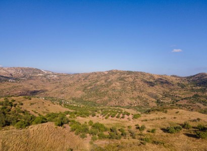 Episkopi, Paphos Agricultural Field For Sale | WW27784