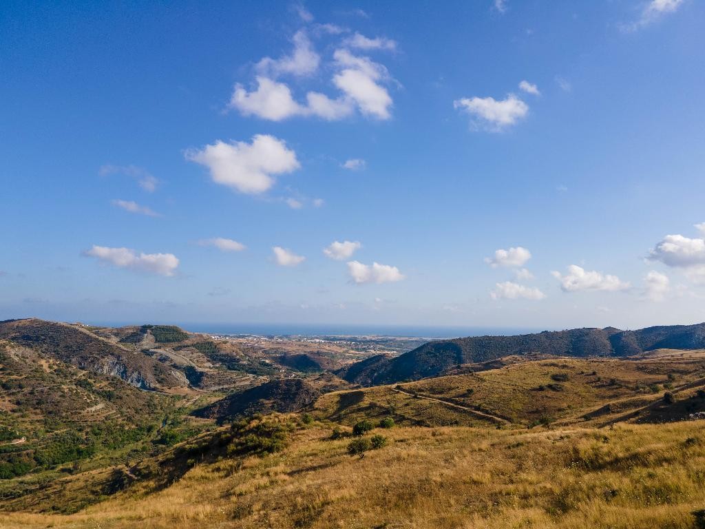 Field - Episkopi, Paphos