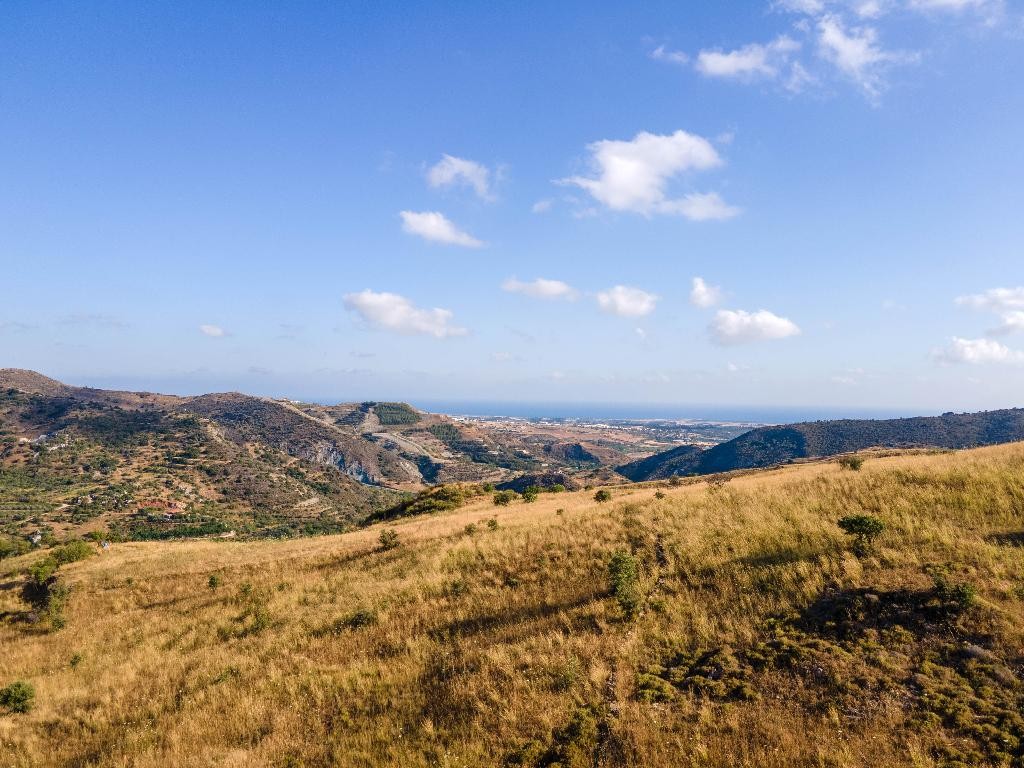 Field - Episkopi, Paphos
