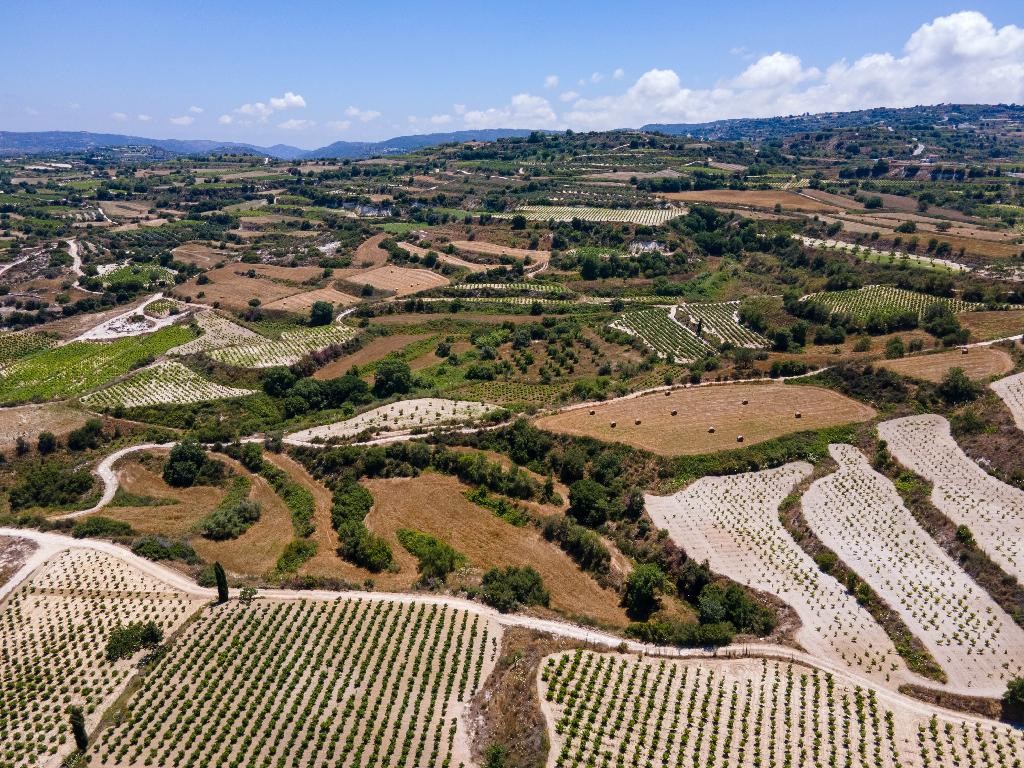 Field - Polemi, Paphos