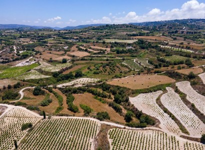 Polemi, Paphos Agricultural Field For Sale | WW27790