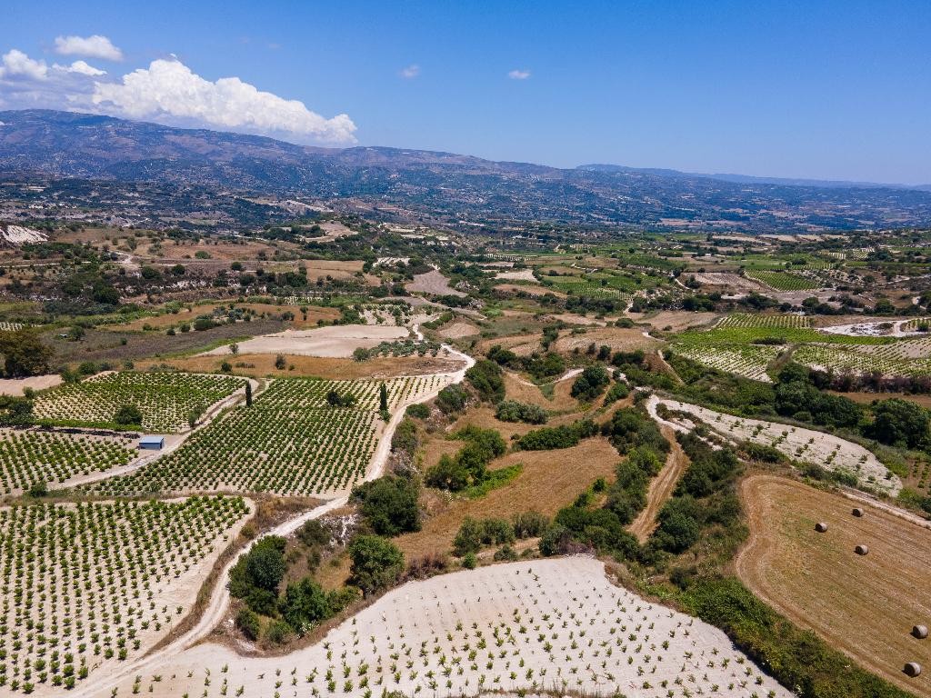 Field - Polemi, Paphos