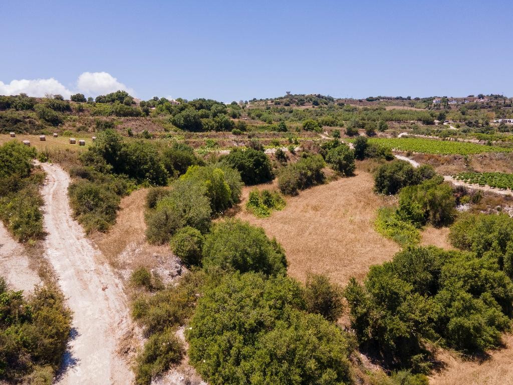 Field - Polemi, Paphos