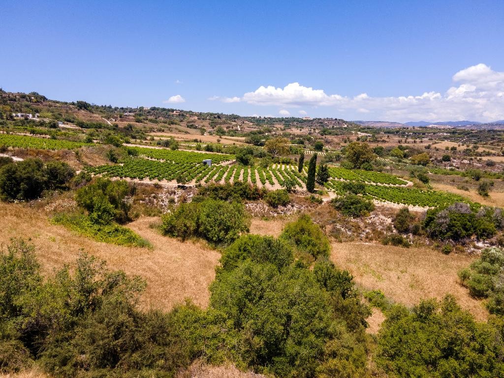 Field - Polemi, Paphos