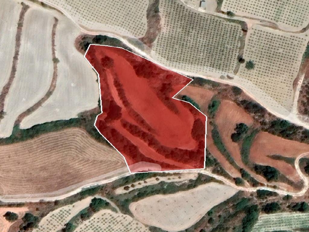 Field - Polemi, Paphos