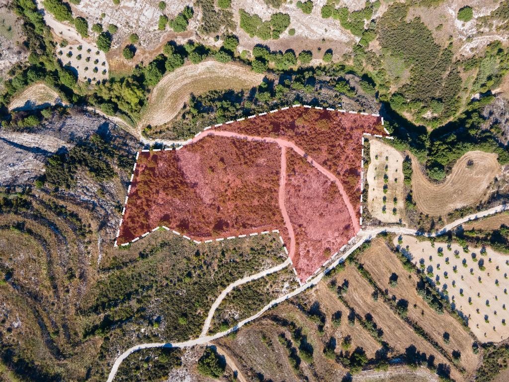 Field - Polemi, Paphos