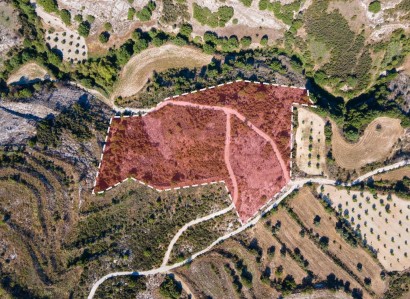 Polemi, Paphos Agricultural Field For Sale | WW27794