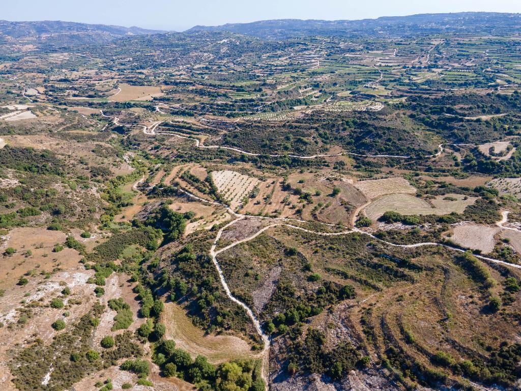 Field - Polemi, Paphos