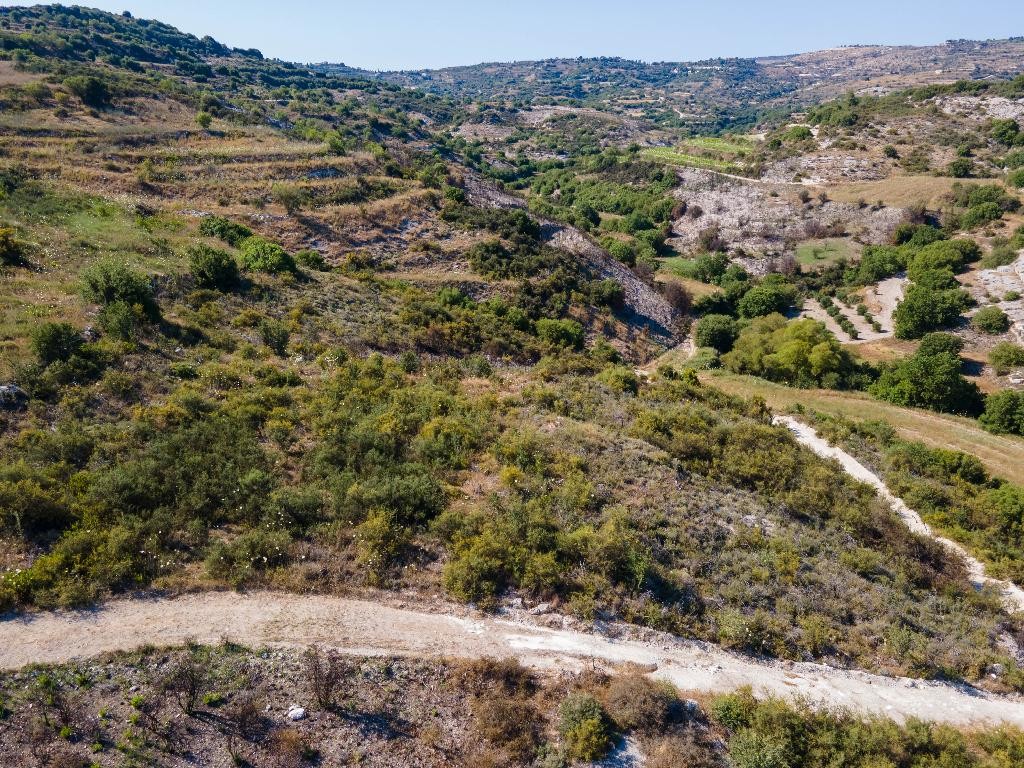 Field - Polemi, Paphos