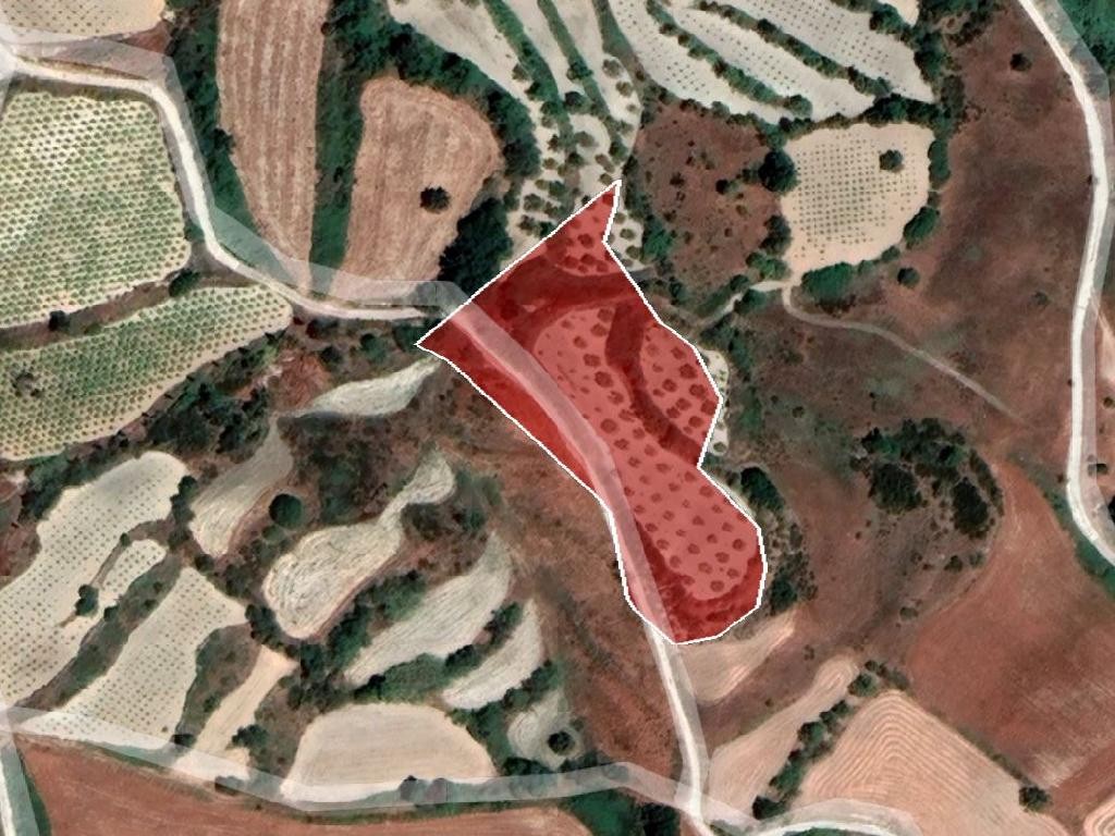 Field - Polemi, Paphos