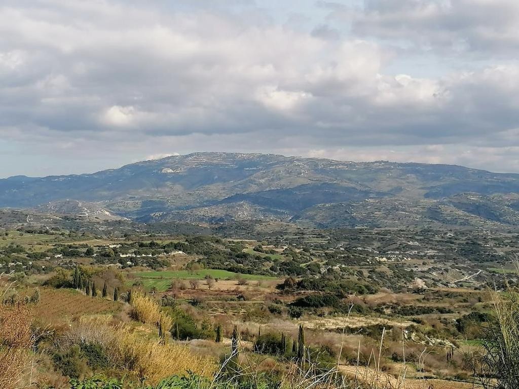 Polemi, Paphos Agricultural Field For Sale | WW27797