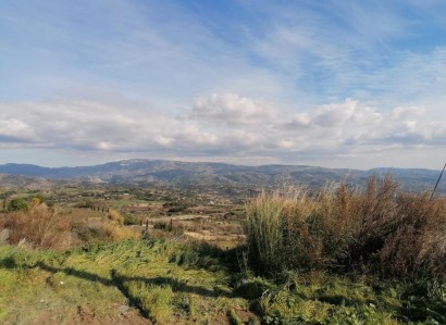 Polemi, Paphos Agricultural Field For Sale | WW27797