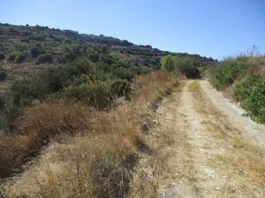 Polemi, Paphos Agricultural Field For Sale | WW27799
