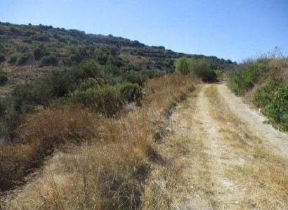 Polemi, Paphos Agricultural Field For Sale | WW27799
