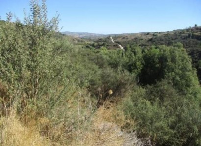 Polemi, Paphos Agricultural Field For Sale | WW27799