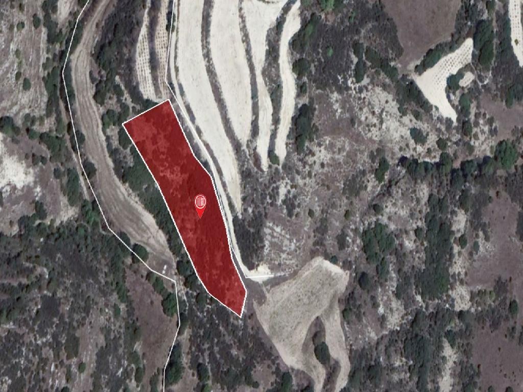 Field - Polemi, Paphos