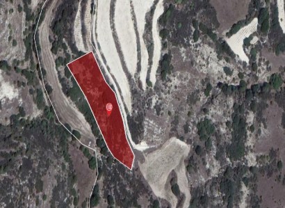 Polemi, Paphos Agricultural Field For Sale | WW27799