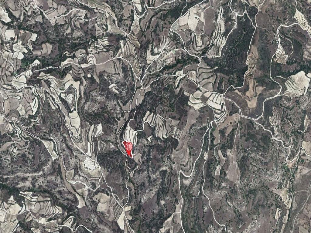 Field - Polemi, Paphos