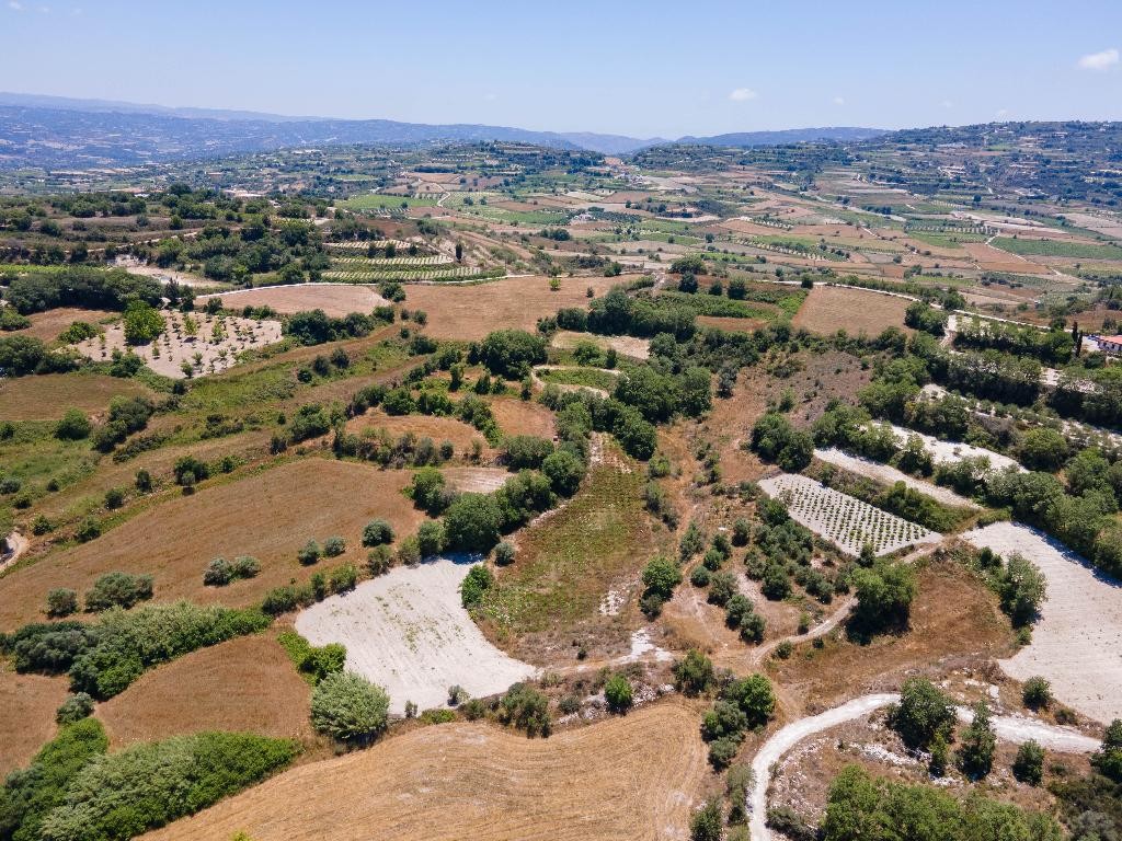 Field - Polemi, Paphos