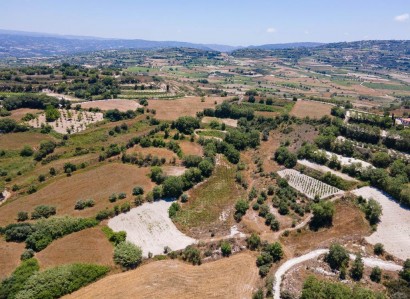 Polemi, Paphos Agricultural Field For Sale | WW27800