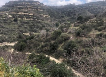 Koili, Paphos Agricultural Field For Sale | WW27803